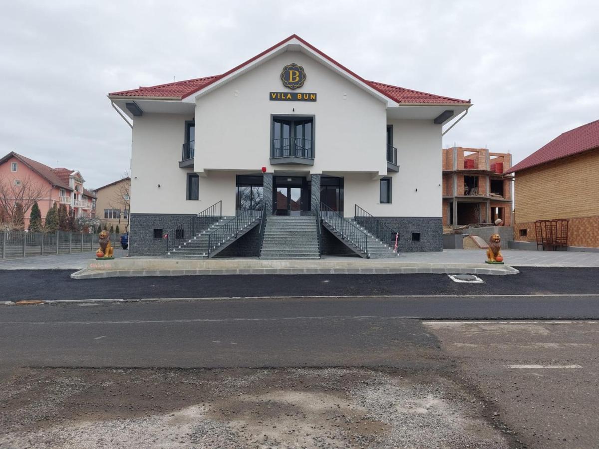 Vila Bun Băile Felix エクステリア 写真